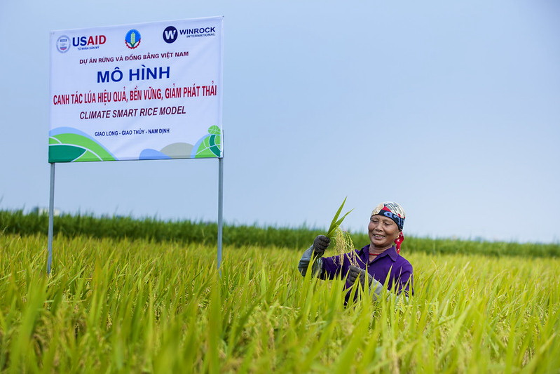 Сельскохозяйственный проект, финансируемый USAID, в провинции Намдинь, Вьетнам. Фото: USAID